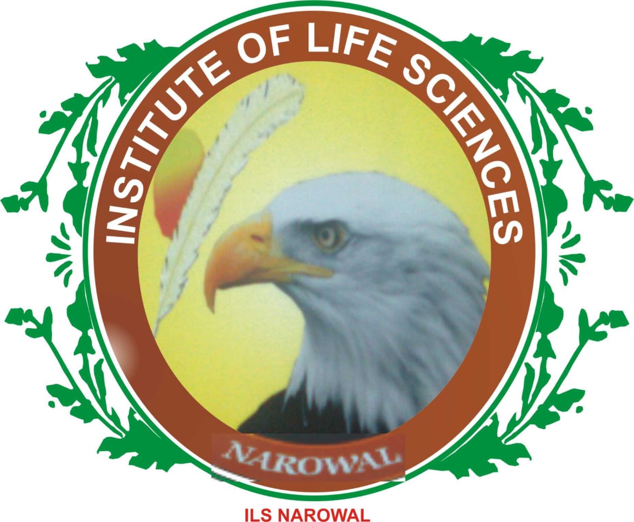 default-logo
